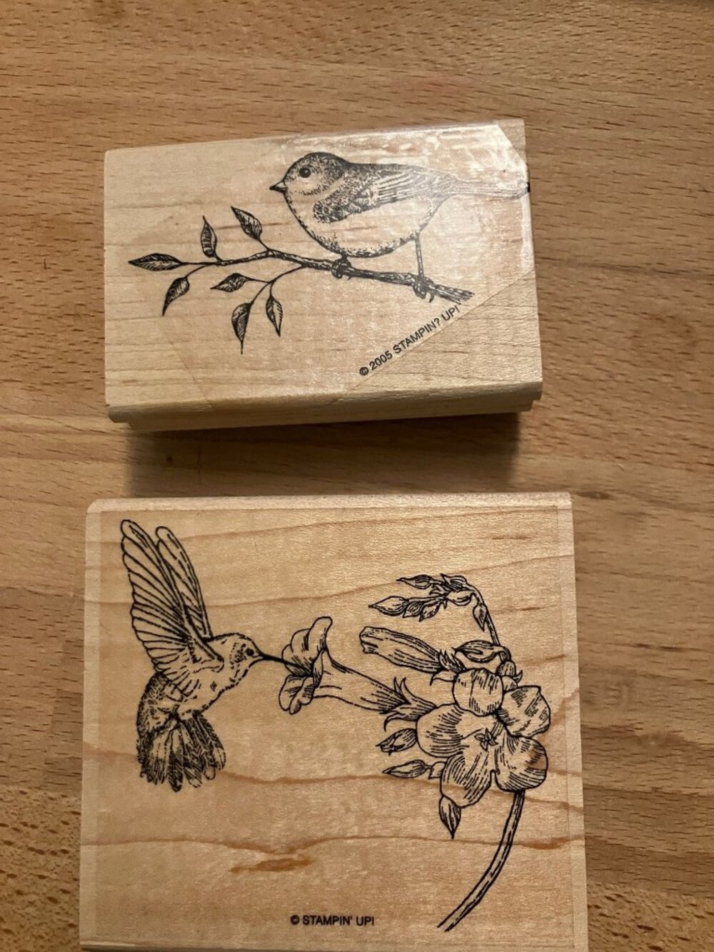 Two Stampin' Up hummingbird and bird stamps